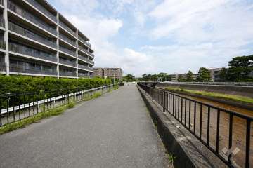 敷地東側の前面道路(南側から)