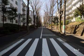 敷地西側の前面道路(南側から)