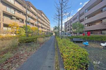 敷地南側の前面道路（西側から）