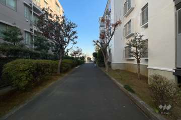 敷地北側の前面道路（西側から）