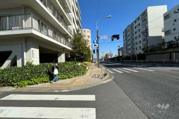 敷地南側の前面道路（西側から）