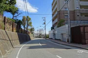 敷地北側の前面道路（西側から）