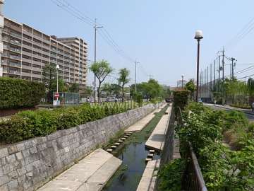 敷地東側を流れる水路。周辺は住宅の他、買い物施設や学校などが混在する街です。
