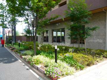 エントランス周りには緑が多く植えられています。