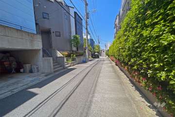 敷地南側の前面道路（西側から）