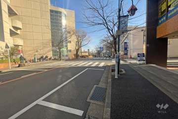 敷地北側の前面道路（西側から）