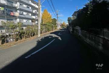 敷地南側の前面道路（西側から）