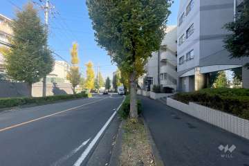 敷地北側の前面道路