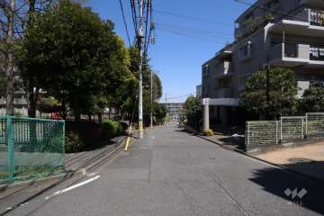 敷地南側の前面道路(西側から)