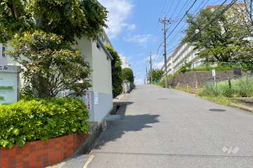敷地北側の前面道路（東側から）