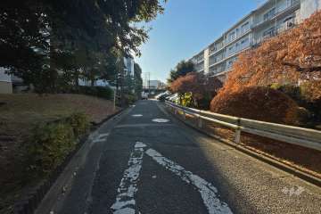 敷地北西側の前面道路（北東側から）
