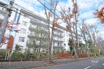 宮前平グリーンハイツ３６号棟