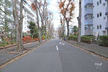 敷地の南側前面道路は「けやき通り」です。