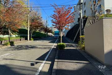 敷地の北西側前面道路（南西側から）