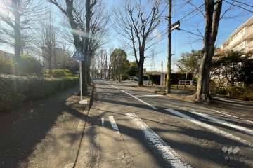 敷地の北側前面道路（東側から）