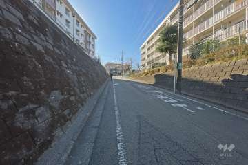 敷地南側の前面道路（西側から）