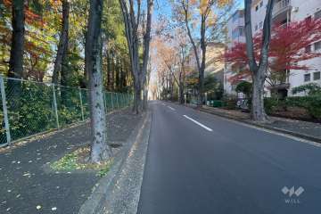 敷地北西側の前面道路　