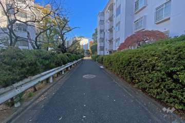 敷地の北東側道路（北西側から）