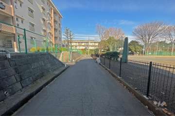 敷地東側の前面道路