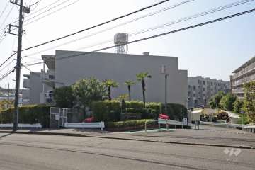 宮前平パームハウスB棟の外観(東側から)