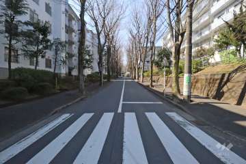 敷地南側の前面道路(東側から)