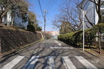 敷地東側の前面道路(南側から)