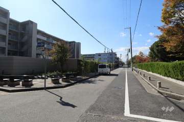敷地北側の前面道路