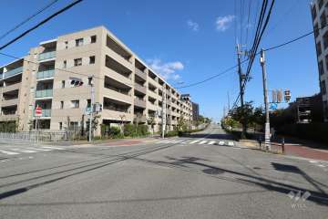 敷地南側の前面道路