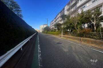 敷地の北側前面道路（西側から）