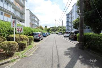 敷地南西側の前面道路