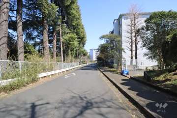 敷地北側の前面道路(西側から)