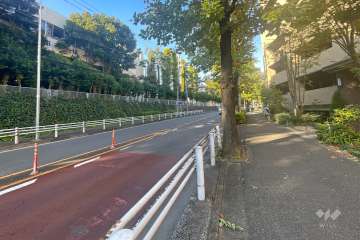 敷地西側の前面道路（南側から）
