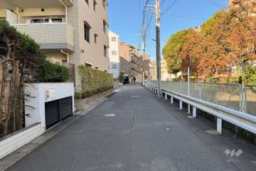 敷地北側の前面道路（東側から）