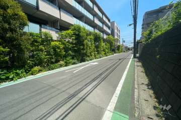 敷地西側の前面道路（北側から）