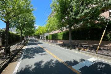 敷地の南側全面道路（東側から）