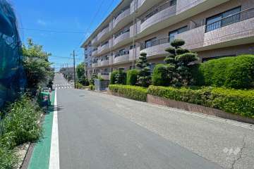 敷地の東側全面道路（北側から）