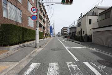 敷地南側の前面道路（西側から）