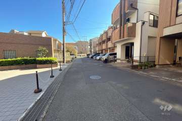 敷地南側の前面道路（西側から）