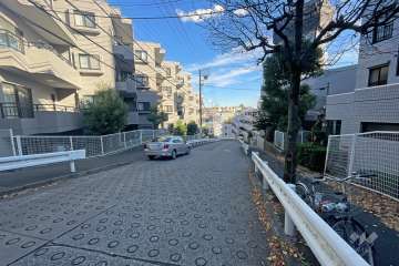敷地南側の前面道路（西側から）