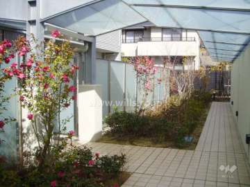 きれいに手入れされた植栽