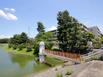 敷地西側にはニテコ池が広がっています。