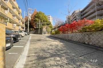 敷地北西側の前面道路（南西側から）