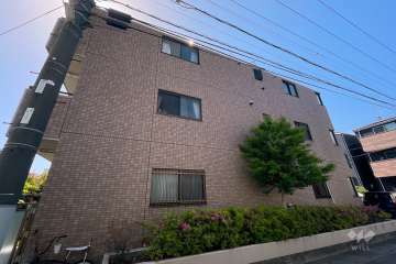 ダイアパレス溝の口東の外観（南東側から）