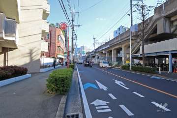 敷地南側の前面道路（西側から）