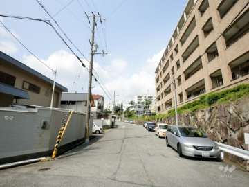 敷地南側の前面道路。敷地の3方が接道した開放感のある立地。
