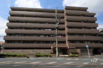 ジュネス溝の口東の外観（南側から）