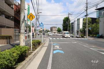 敷地南側の前面道路(西側から)