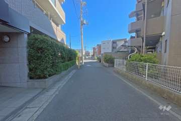 敷地南側の前面道路（西側から）