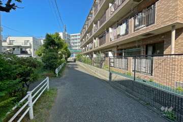 敷地南側の前面道路（東側から）