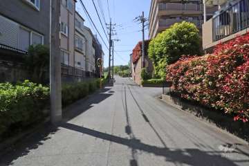 敷地南側の前面道路　